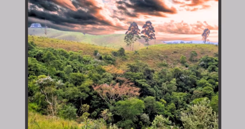 Para Quem Busca Terra, Céu e Paz Cotia-Caucaia do Alto
