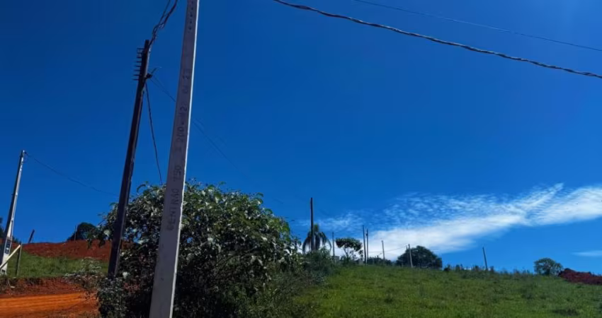 plena valorização