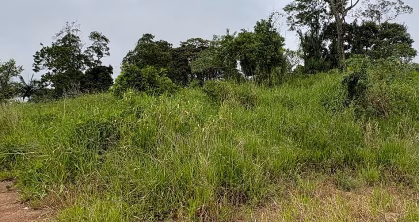 - TERRENO COM ÁREA VERDE