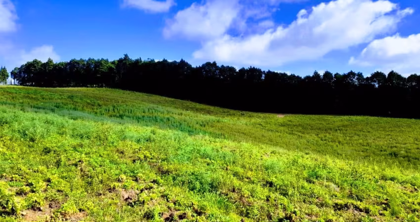 TERRENO 600M² COM VISTA PARA A NATUREZA