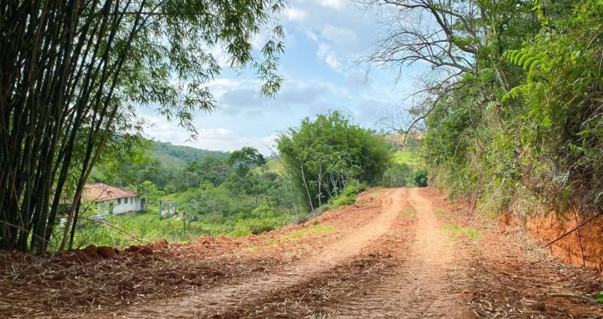 45T-LOTE PLANO