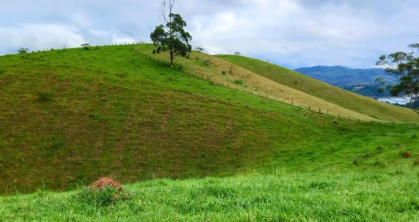 - NATUREZA AO SEU REDOR