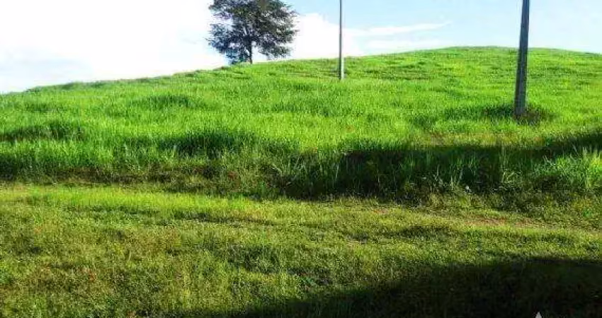 Fazenda à venda na Zona Rural, Nova Brasilândia 