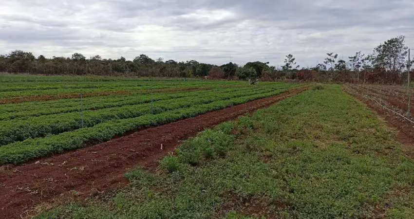 Sitio com 8 hectares a venda em santo antônio da fartura