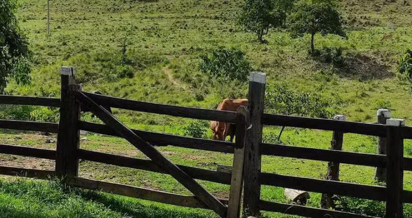 Vende-se Fazenda com 134 hec na BR 070 Poconé