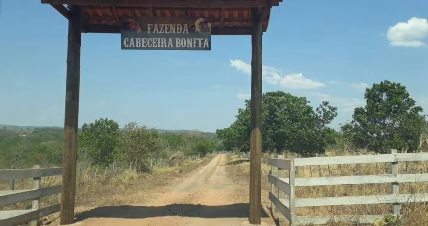 Fazenda Cabeceira Bonita em Primavera do Leste