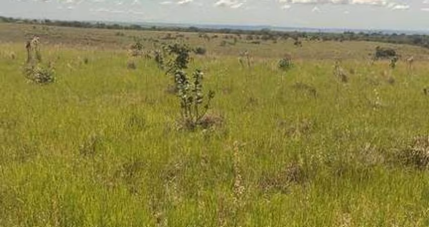 Fazenda em Primavera do leste com Dupla aptidão