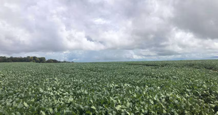 Fazenda à venda na Área Rural, Zona Rural, Sorriso