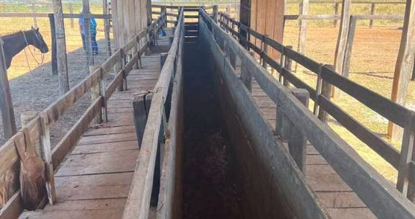 Fazenda em Barra do Garças dupla aptidão