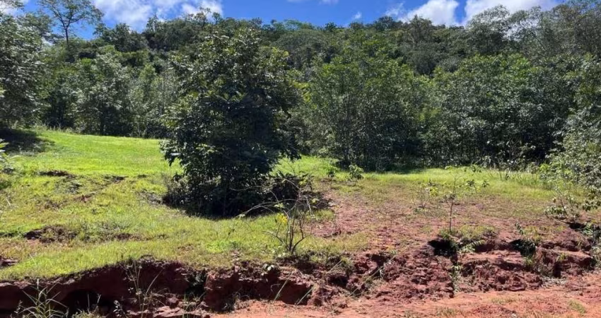 Fazenda para Pecuária Campo Verde Mato Grosso de 714 Hectares