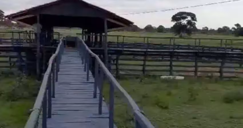 Fazenda em Poconé, Mato Grosso de 8870 Hectares