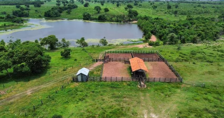 Fazenda a Venda de 646 Hectares próxima a Cuiabá, MT