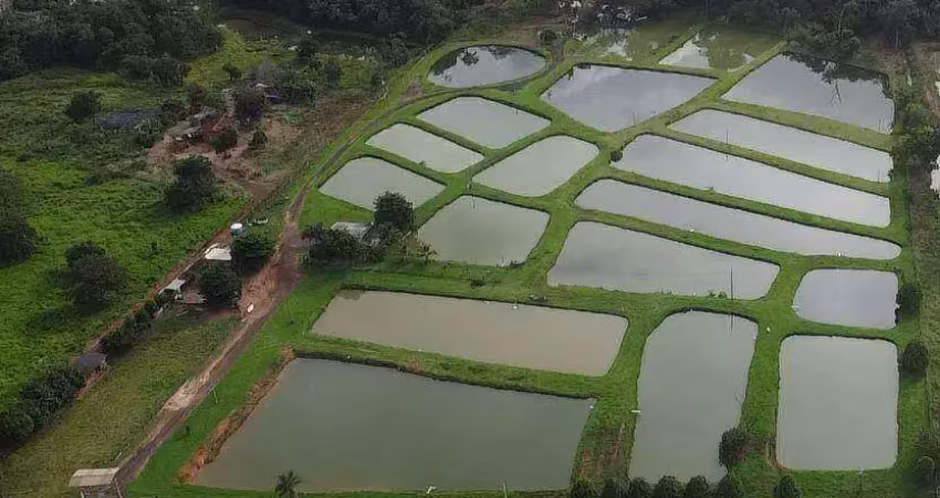Chácara / sítio à venda na Zona Rural, Nova Olímpia 