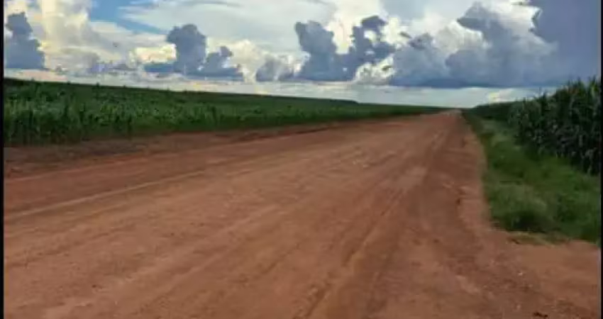 Area agricola de 200 hectares na região de sorriso disponivel para venda