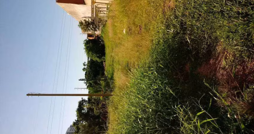 Chácara com 23 hectares, arável, casa antiga, muito verde e lagoa em glorinha..