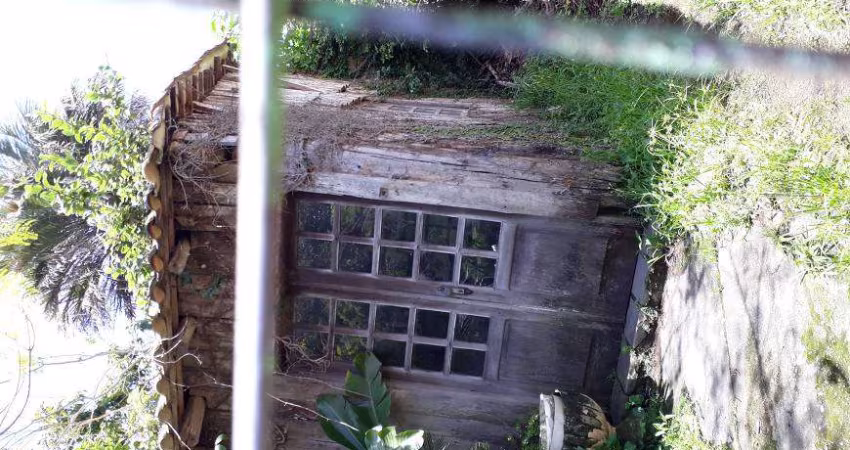 Lote/Terreno para venda tem 330 metros quadrados em Vila Ipiranga - Porto Alegre - RS
