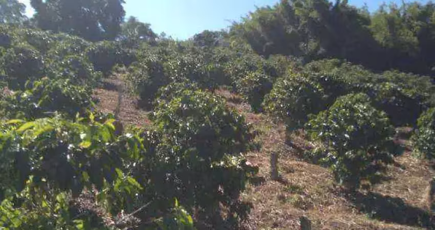 Sítio com 2 dormitórios à venda, 36300 m² por r$ 990.000 - zona rural - heliodora/mg