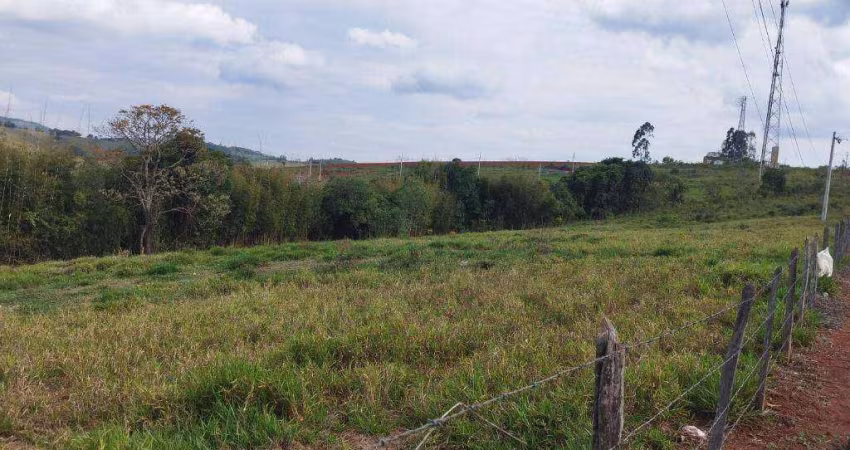 Terreno à venda, 600 m² por R$ 230.000,00 - Vargem Grande - Silvianópolis/MG