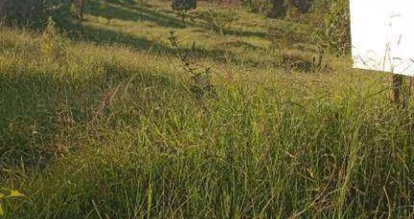 Terreno à venda, 240 m² por R$ 94.000,00 - Pitangueiras - Pouso Alegre/MG