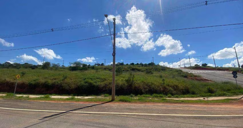 Terreno à venda, 300 m² por R$ 300.000 - Chaves - Pouso Alegre/MG