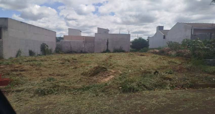 vendo terreno inteiro, jardim eldorado, 300 m² , faz 2 casas, documentação ok, marialva