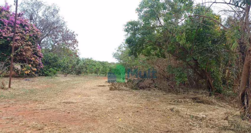 Chácara à venda, 2021 m² - chácaras pedro corrêa de carvalho - ribeirão preto/sp