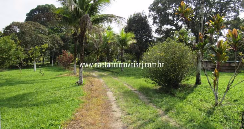 Sítio de15.000m2 Todo Plano e Murado