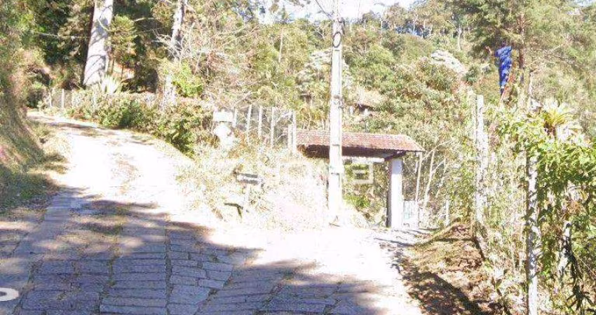 Terreno à venda, 1503 m² por R$ 209.000,00 - Mury - Nova Friburgo/RJ