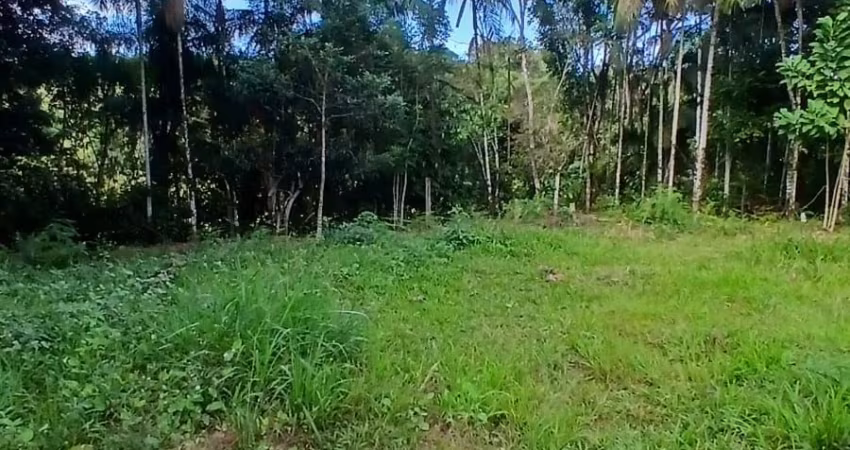 Terreno Extenso em São João do Itaperiú
