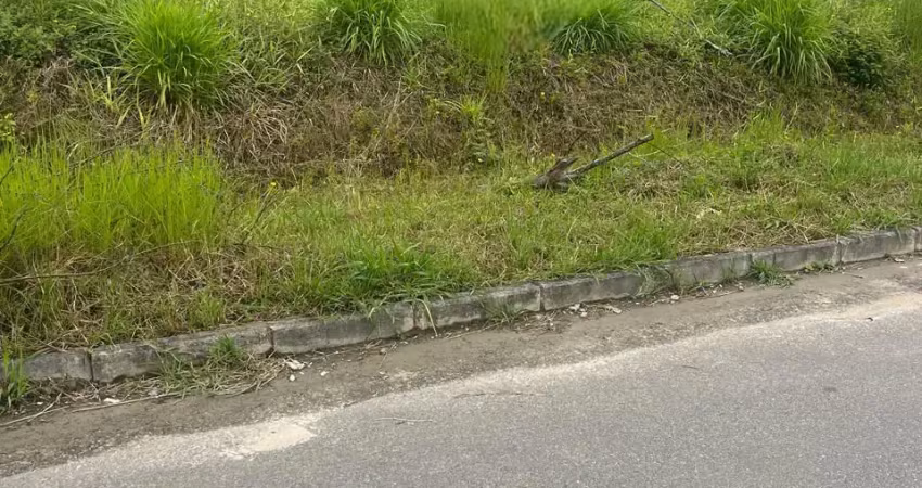 Terreno à venda no Itinga, Araquari 