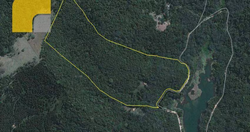 Terreno à venda, 3,5 alqueires - Vicente Nunes - Nazaré Paulista/SP
