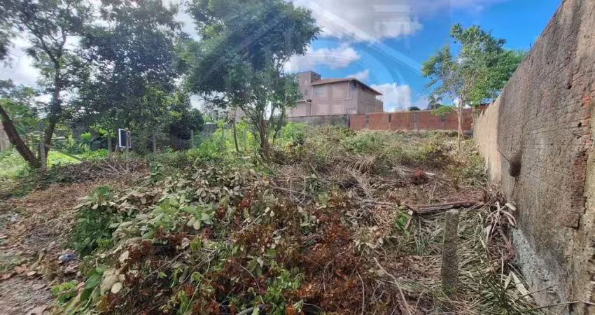 Terreno à venda na Avenida Los Angeles Qd E, 18, Araçagy, São José de Ribamar