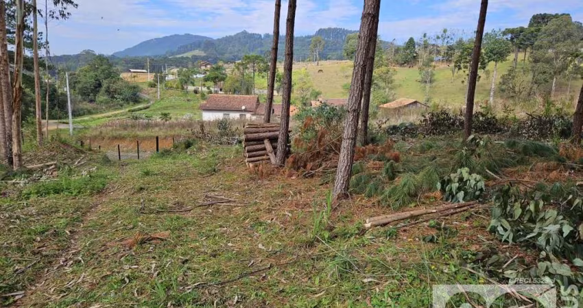 Chácara para Venda em Campo Alegre, Bateias de Baixo