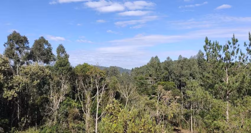 Chácara para Venda em Campo Alegre, Bateias de Baixo