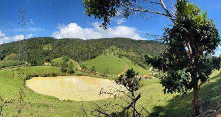 Terreno à venda, 270000 m² por R$ 800.000,00 - Centro - Angelina/SC