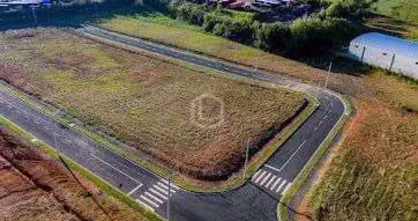 Terreno à venda na Rodovia Lino Zanolli, Primeiro De Maio, Içara