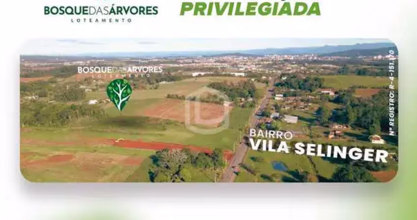 Bosque das árvores - terreno em loteamento na vila selinger, criciúma