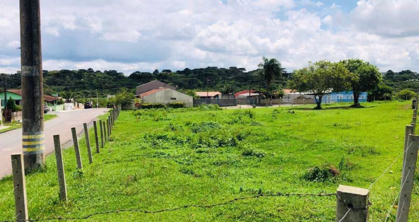 Terreno para Venda em Campo Largo, Loteamento São Gerônimo