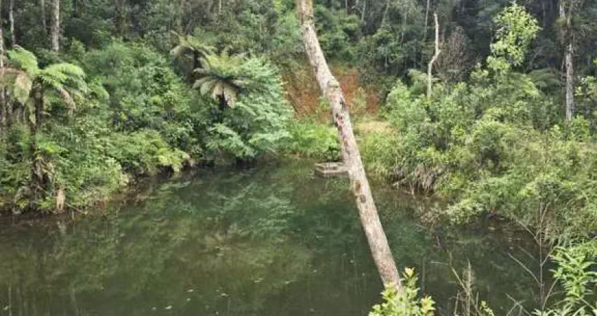 Chácara para Venda em Campo Largo, Felpudo