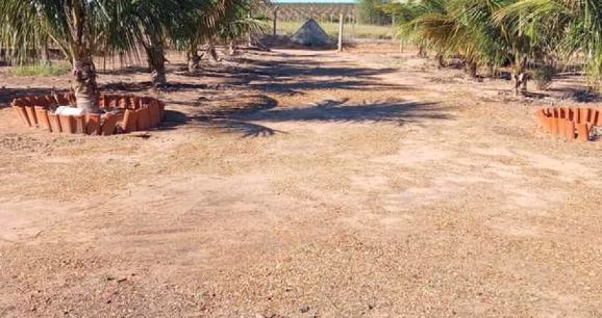 Chácara Rural à venda,  Anhembi - CH0242.