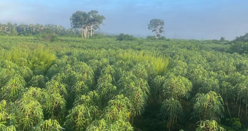 Fazenda a 30  Km de Cuiabá-MT