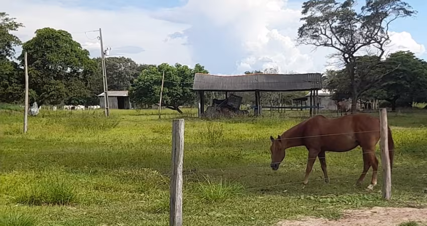 Fantástica fazenda em Livramneto MT