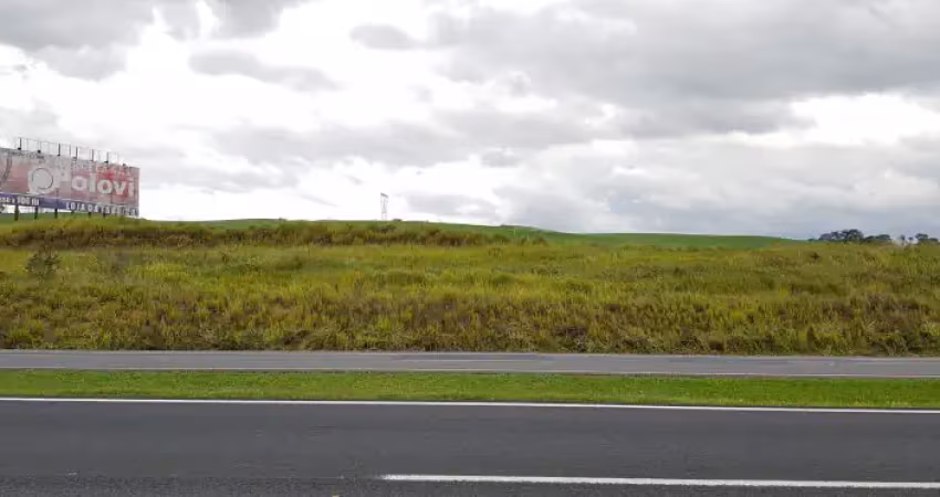 Terreno comercial à venda no Bom Jesus, Campo Largo 