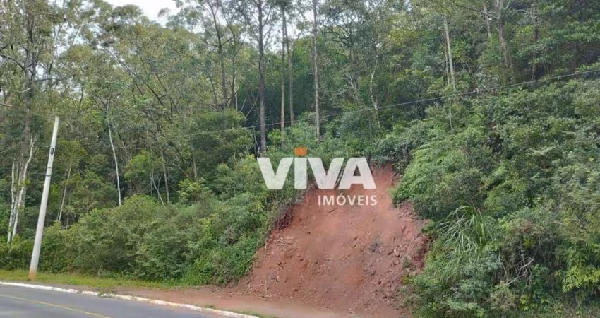 Terreno à venda, 4000 m² por R$ 1.900.000,00 - Cabeçudas - Itajaí/SC