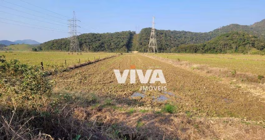 Terreno à venda, 3500 m² por R$ 1.750.000,00 - Rio do Meio - Itajaí/SC