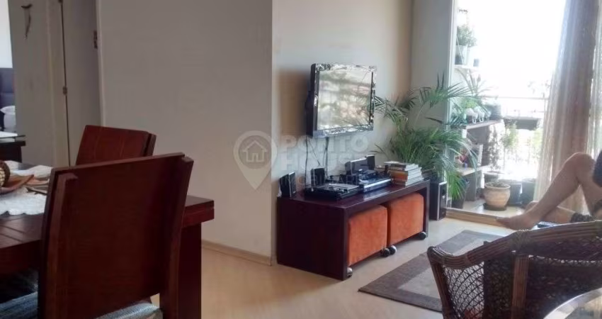 Apartamento à venda bairro Vila Moinha Velho de 3 dormitórios, 1 suite e 2 vagas