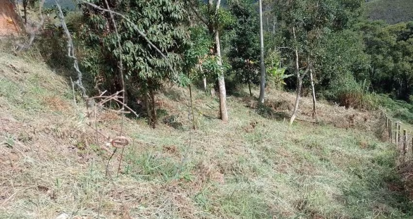 TERRENO À VENDA, 433 M² POR R$ 160.000,00 - PRATA - TERESÓPOLIS/RJ