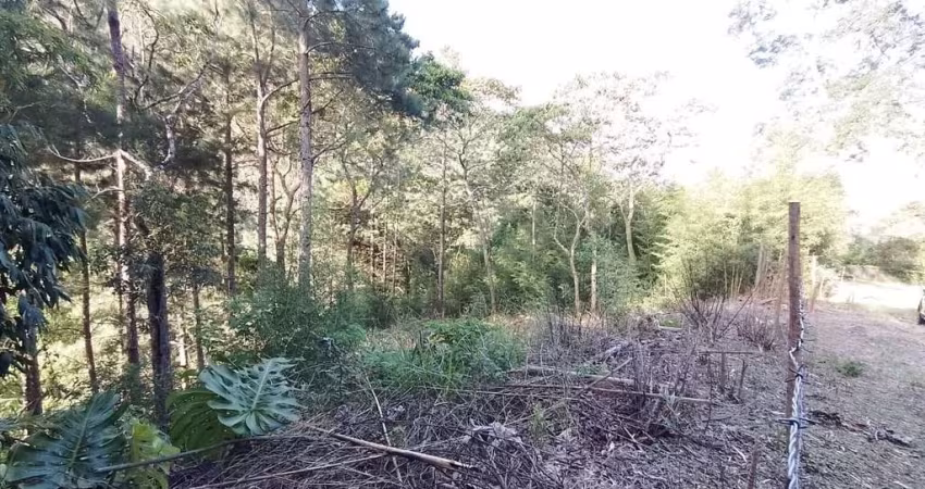 TERRENO À VENDA, 1530 M² POR R$ 260.000,00 - CASCATA DOS AMORES - TERESÓPOLIS/RJ