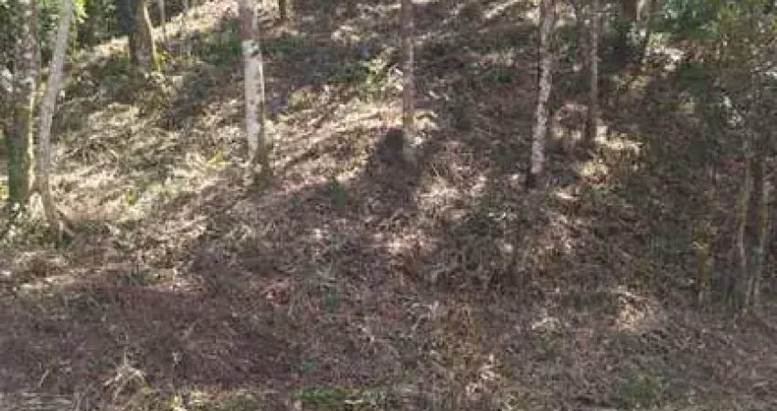 TERRENO À VENDA, 855 M² POR R$ 70.000,00 - ALBUQUERQUE - TERESÓPOLIS/RJ