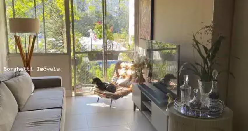 Apartamento para venda em são paulo, jardim londrina, 2 dormitórios, 1 suíte, 2 banheiros, 1 vaga